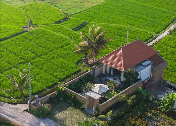 Wisana Villa Sebatu By Uniquecations