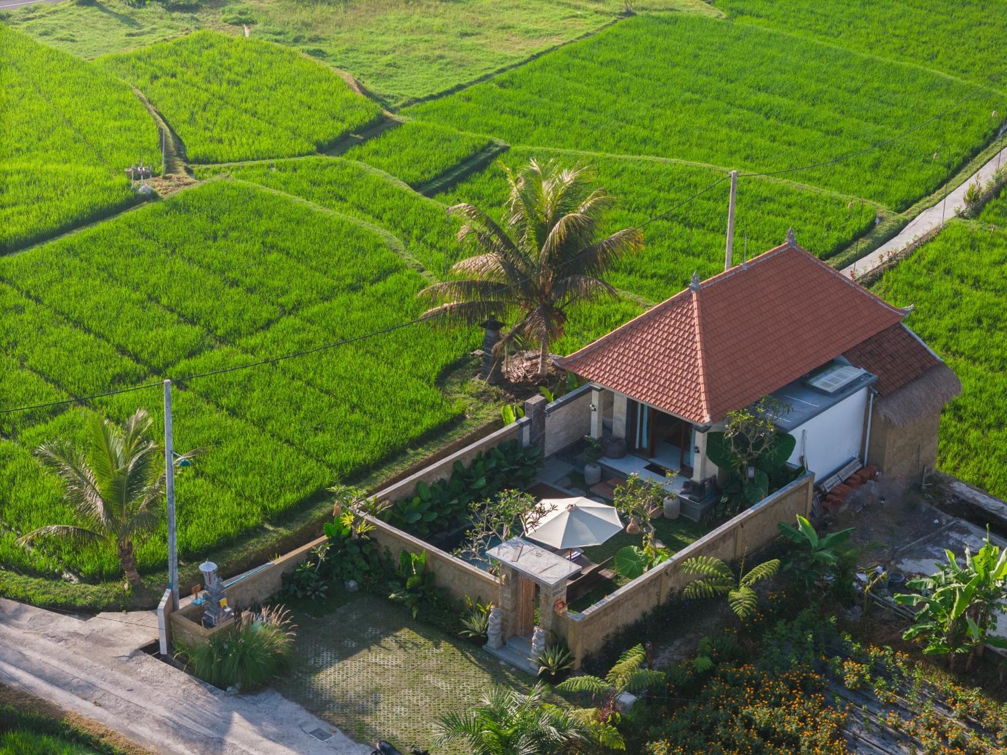 Wisana Sebatu By Uniquecations Villa Ubud (Bali)