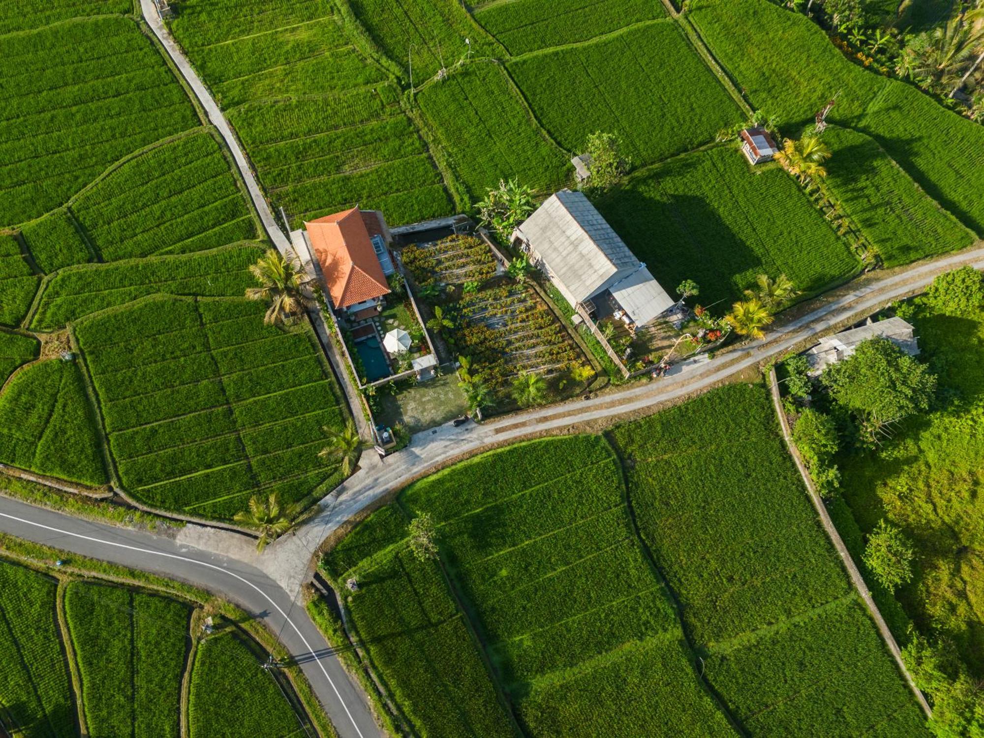 विला Wisana Sebatu By Uniquecations *
