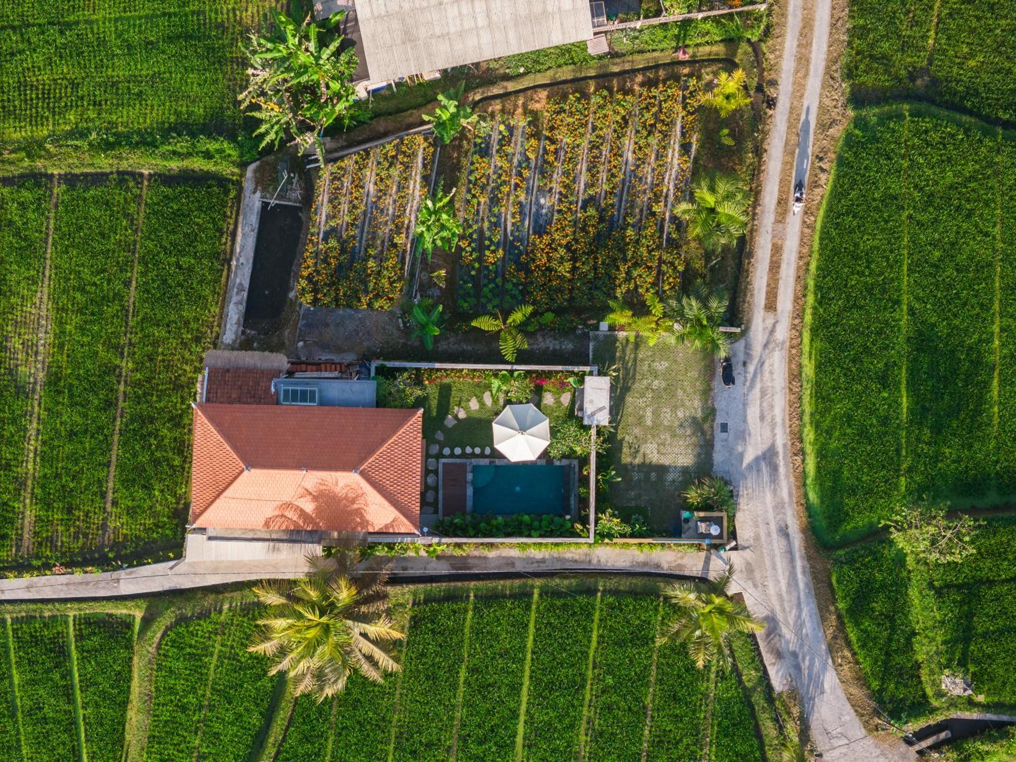 Villa Wisana Sebatu By Uniquecations Ubud (Bali)