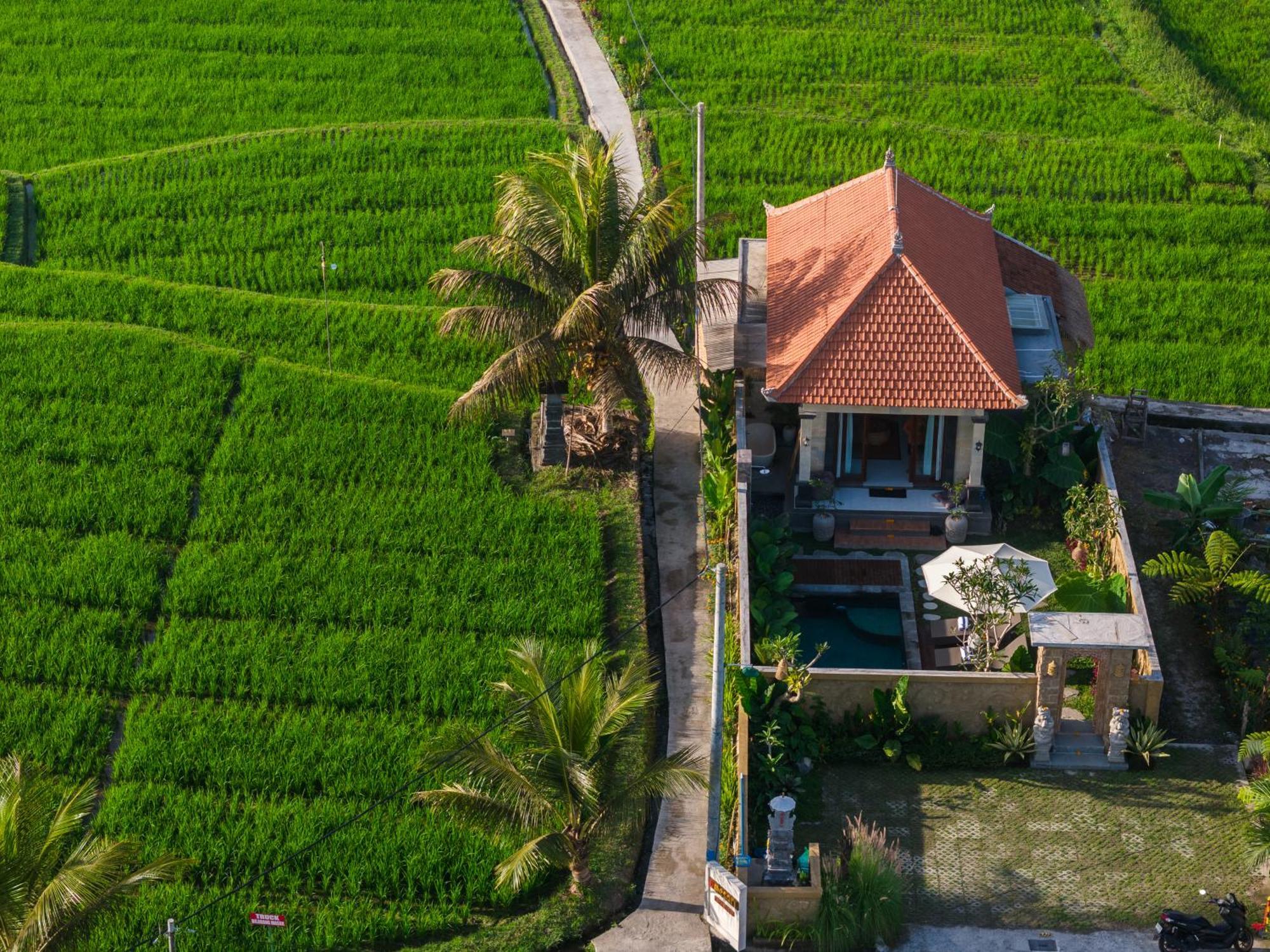 Wisana Sebatu By Uniquecations