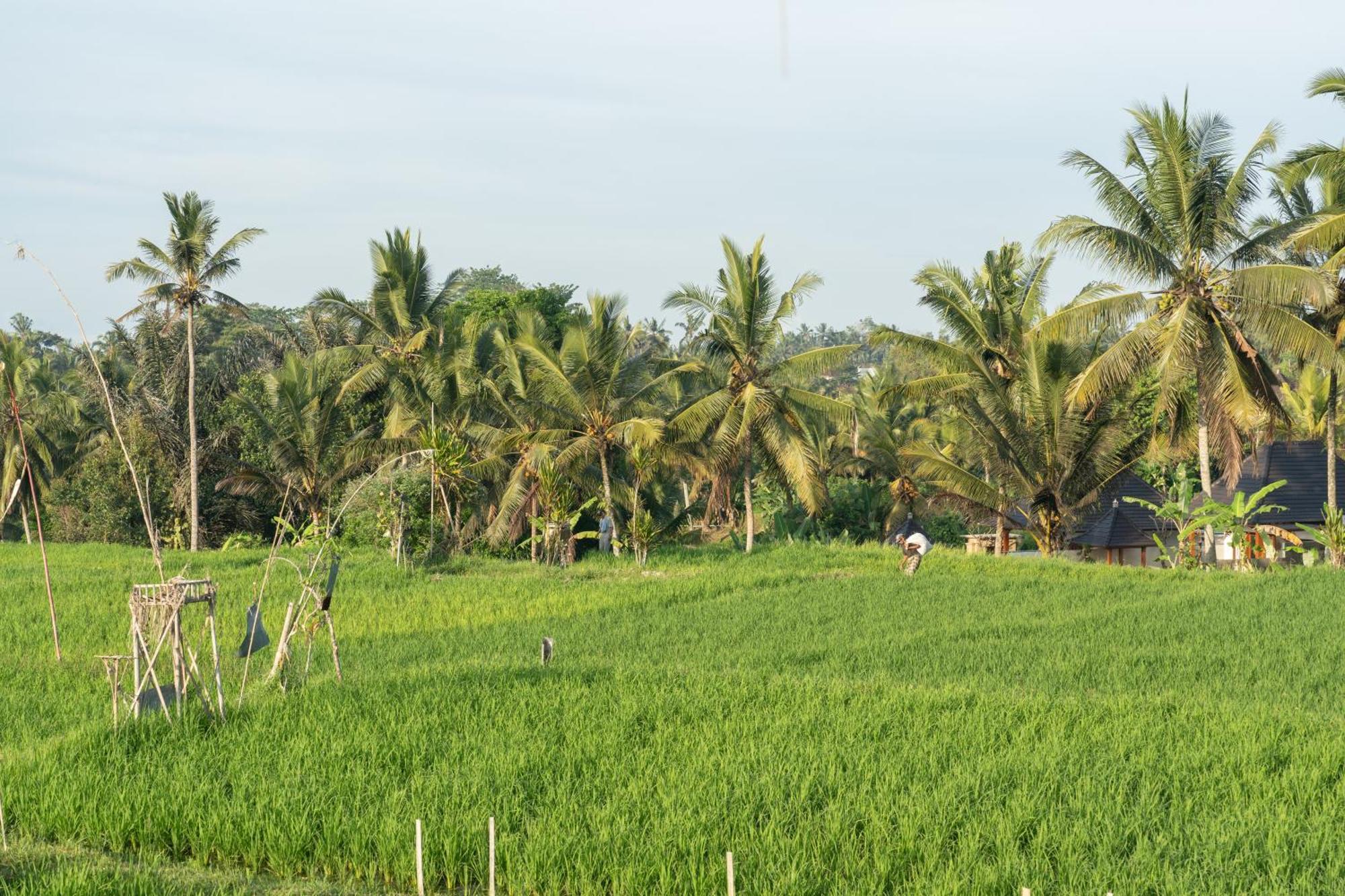 विला Wisana Sebatu By Uniquecations Ubud (Bali)